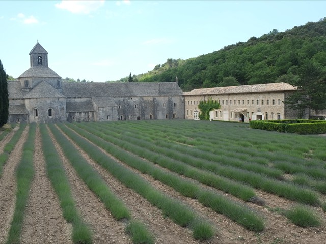 Kloster von Senanque